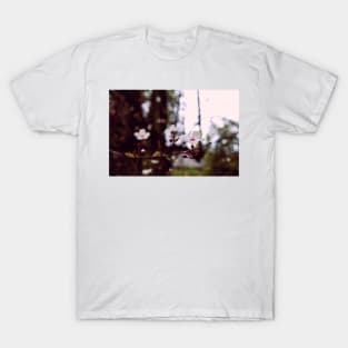 Hanami 1 T-Shirt